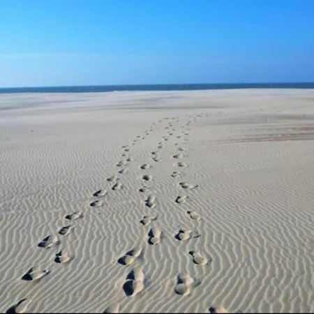 In Koksijde Near Ter Hille Golf, Cleaning Included *