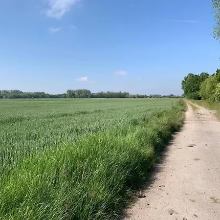 In Koksijde Near Ter Hille Golf, Cleaning Included Apartmán *
