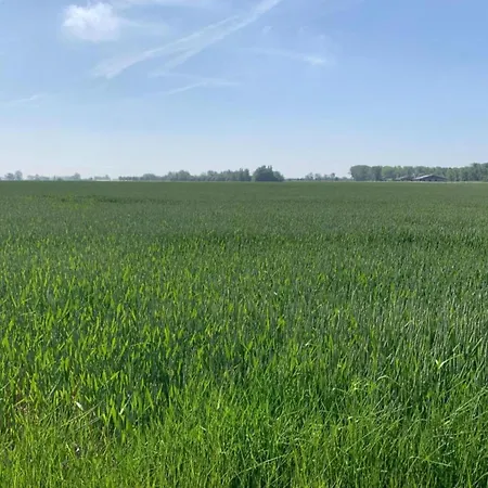 In Koksijde Near Ter Hille Golf, Cleaning Included *