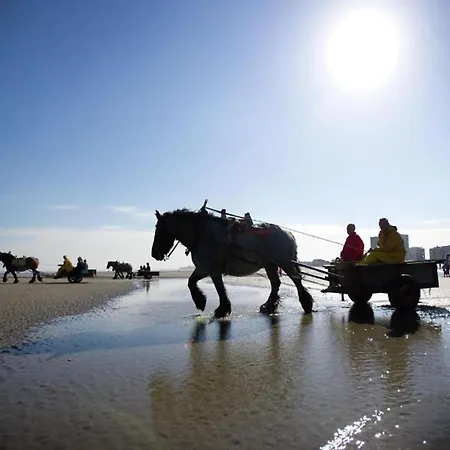 In Koksijde Near Ter Hille Golf, Cleaning Included Nieuwpoort