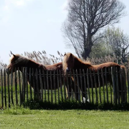 In Koksijde Near Ter Hille Golf, Cleaning Included * Nieuwpoort